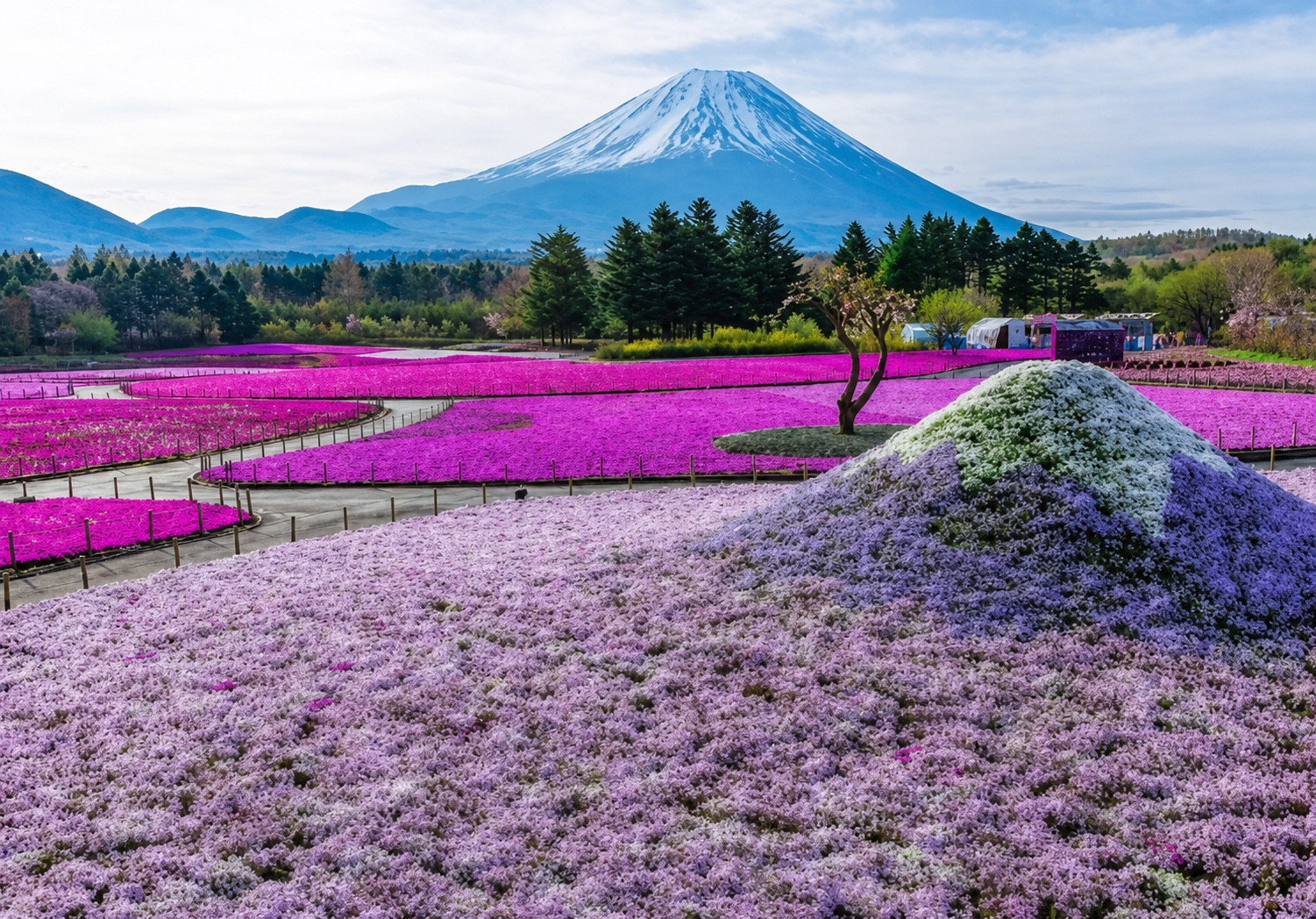 Tokyo Mount Fuji and Hakone Private Day Tour