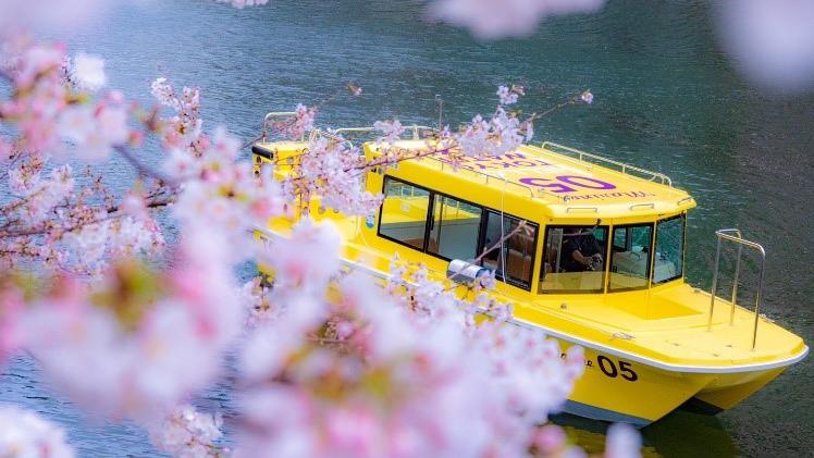 Skip the Sakura: Why Plum Blossoms (Ume) Are Tokyo’s Best-Kept February Secret